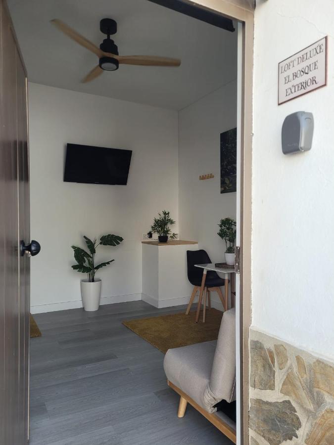 Loft Deluxe Interior Y Exterior