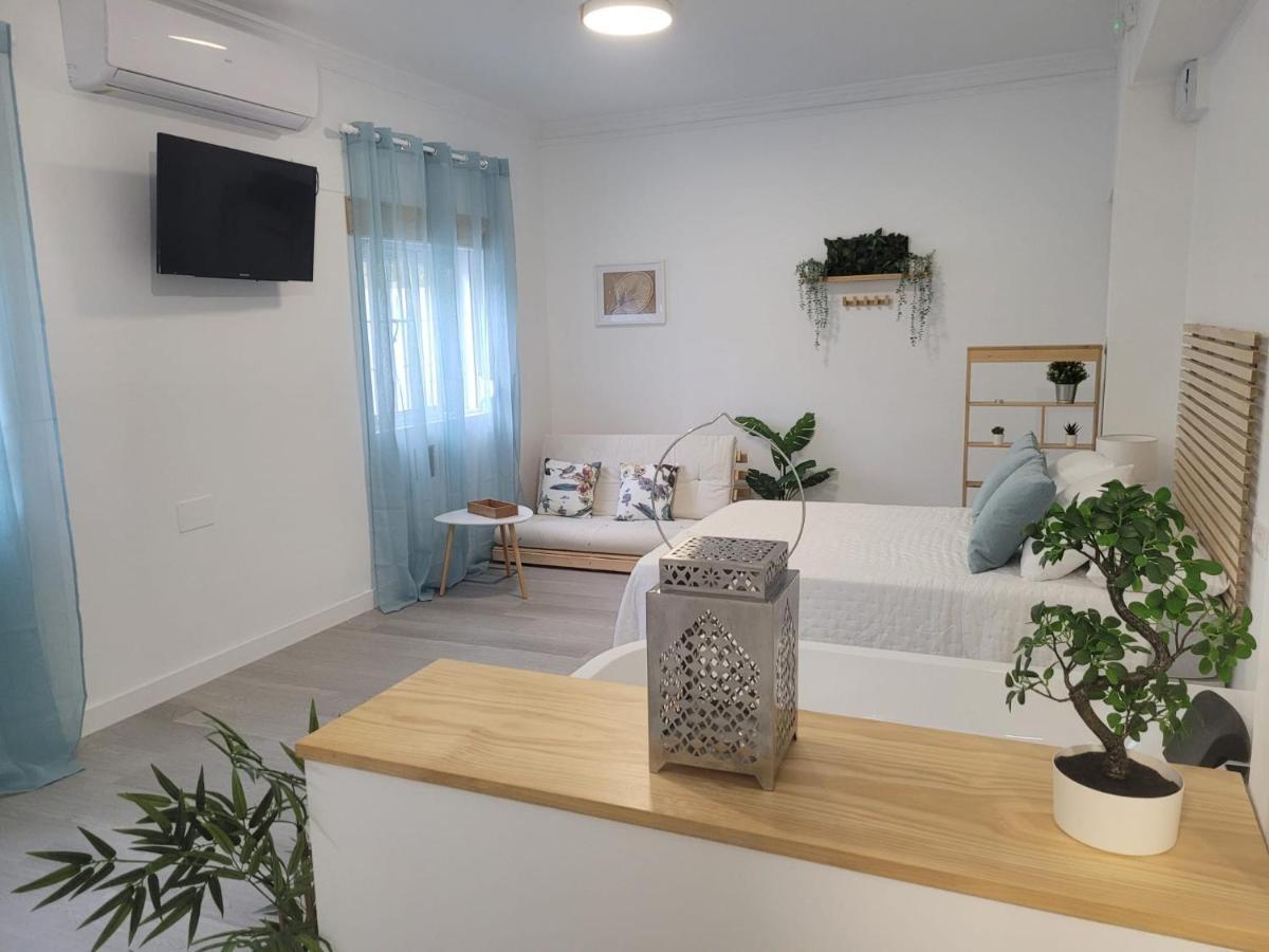 Apartment Loft Deluxe Interior Y Exterior *